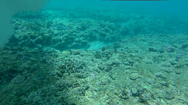 水下:酷酷的冲浪运动员在壮观的斐济乘坐一个巨大的海浪。视频素材