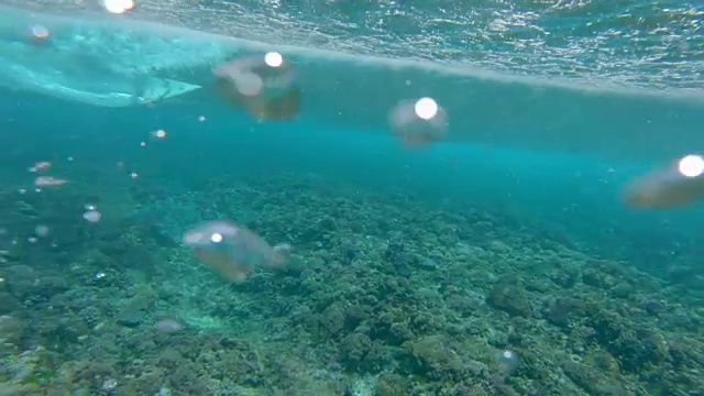 复制空间:欢快的冲浪爱好者雕刻出海浪，溅起晶莹剔透的水。视频素材