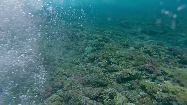 水下:职业冲浪选手在桶形波浪下游泳，然后浮出水面。视频素材