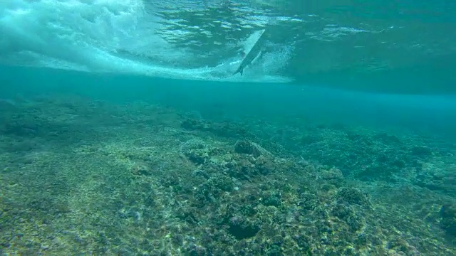 慢镜头:年轻的冲浪爱好者很高兴地抓住并驾驭一个小波浪。视频素材