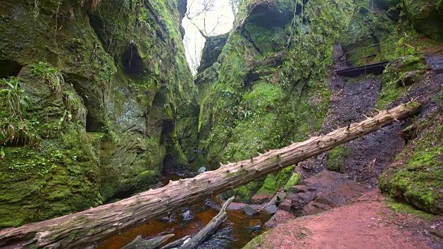 高山峡谷。长满苔藓和苔藓的岩石视频素材