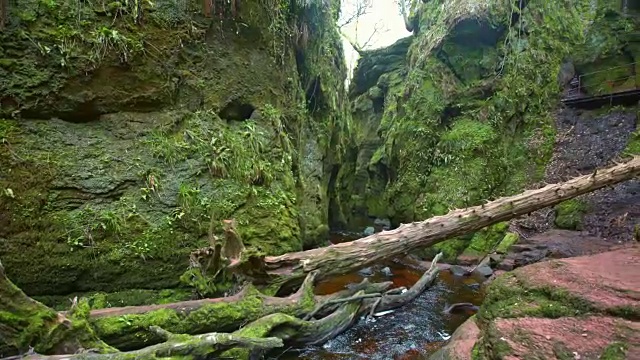 高山峡谷。长满苔藓和苔藓的岩石视频素材