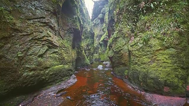 高山峡谷。长满苔藓和苔藓的岩石视频素材