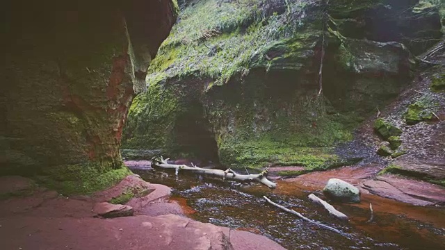 高山峡谷。长满苔藓和苔藓的岩石视频素材