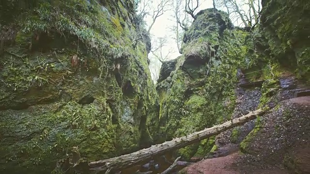 高山峡谷。长满苔藓和苔藓的岩石视频素材