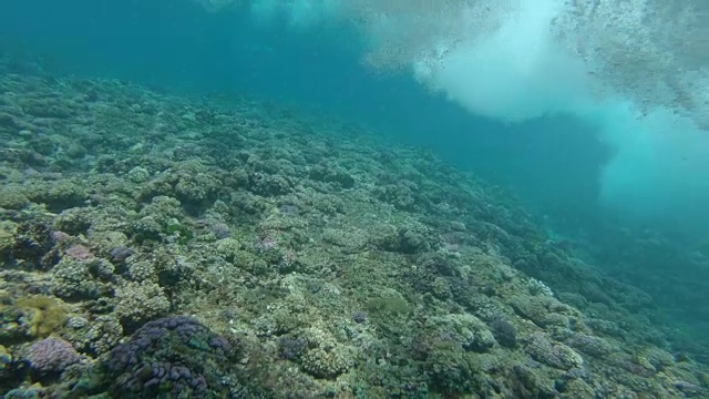 慢动作:在一个阳光明媚的日子里，巨大的溅起的桶状波浪滚向镜头。视频素材