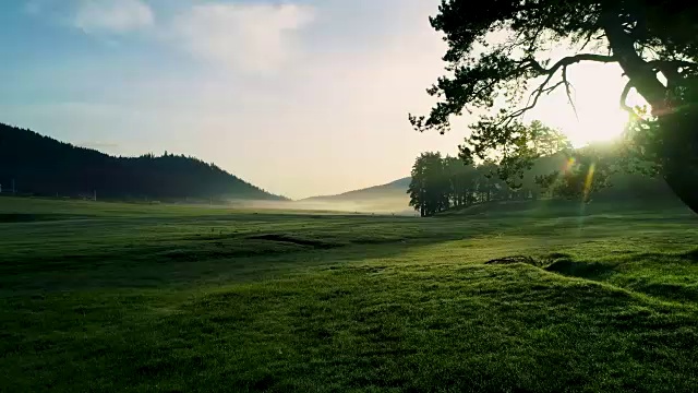 森林景观和春山晨雾视频素材