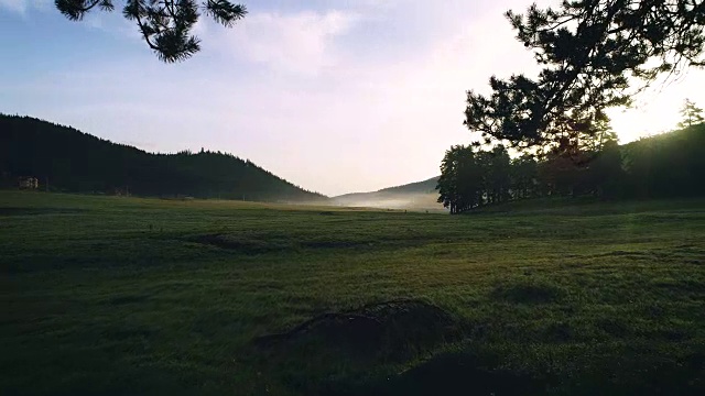 森林景观和春山晨雾视频素材