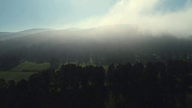 森林景观和春山晨雾视频素材