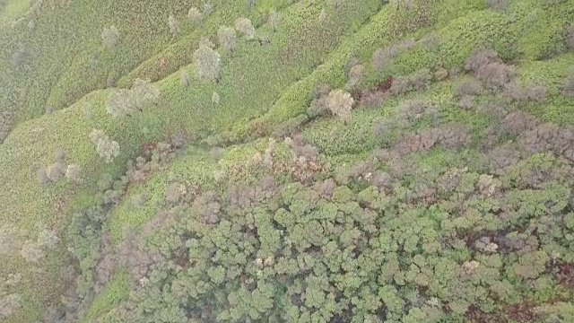 死火山坡与黎明。鸟瞰图视频素材