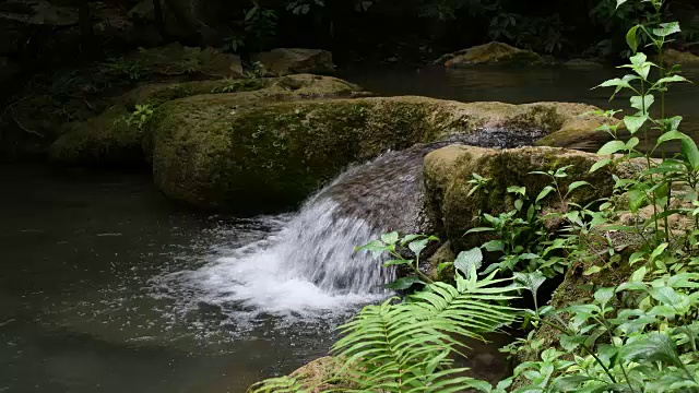 森林自然瀑布视频素材