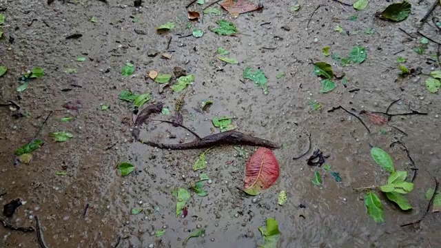 极端天气，灾难性的冰雹风暴和暴雨。视频素材