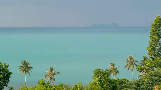 异国情调的椰子树在风中摇曳。热带海洋风景。田园诗般的天堂岛海滩。视频素材