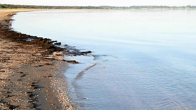 平静的海滩视频素材