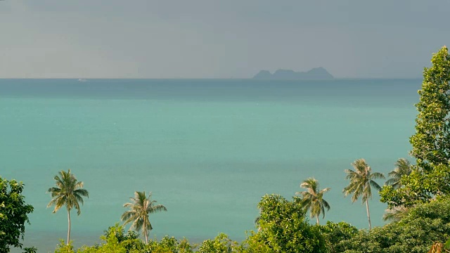 异国情调的椰子树在风中摇曳。热带海洋风景。田园诗般的天堂岛海滩。视频素材