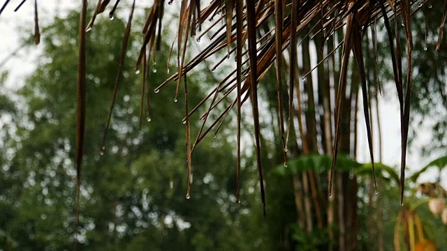 雨水来自屋顶，由草制成视频素材