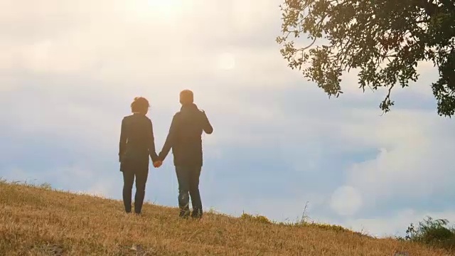 情侣站在山上，手牵着手，望着天空，约会视频素材