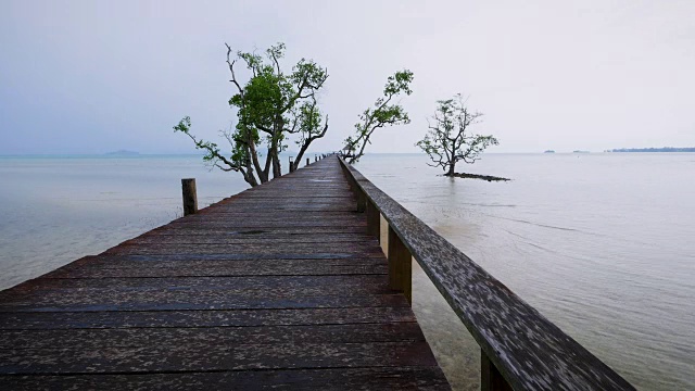 泰国Koh Mak岛，美丽的木桥码头视频素材