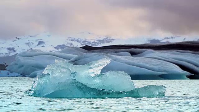 冰岛的冰和海。来自Jokulsarlon冰川的冰山视频素材