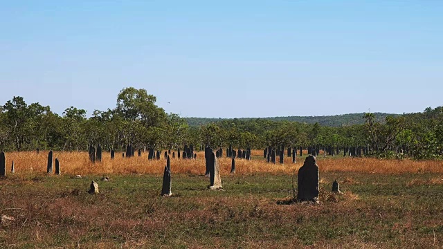 蓝天下的田野风景视频素材