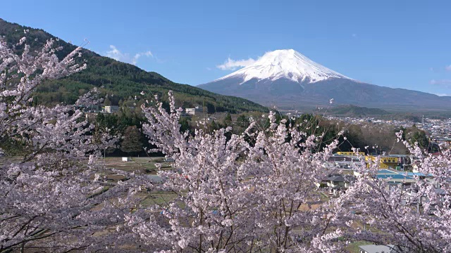 富士山上樱花盛开视频素材