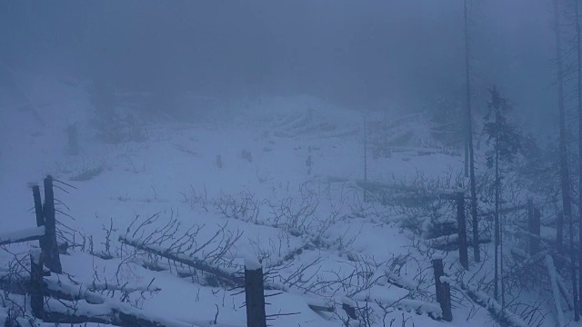 冬天在寒冷多雾的天气里徒步旅行，在被雪覆盖的岩石森林景观中视频素材