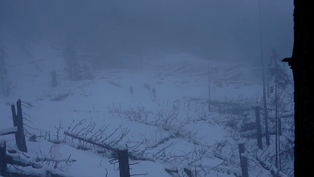 冬天在寒冷多雾的天气里徒步旅行，在被雪覆盖的岩石森林景观中视频素材