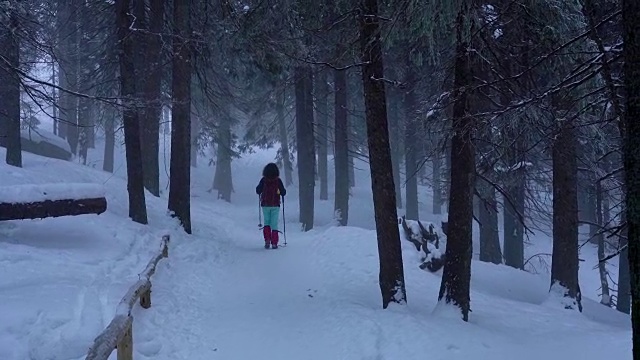 冬天在寒冷多雾的天气里徒步旅行，在被雪覆盖的岩石森林景观中视频素材