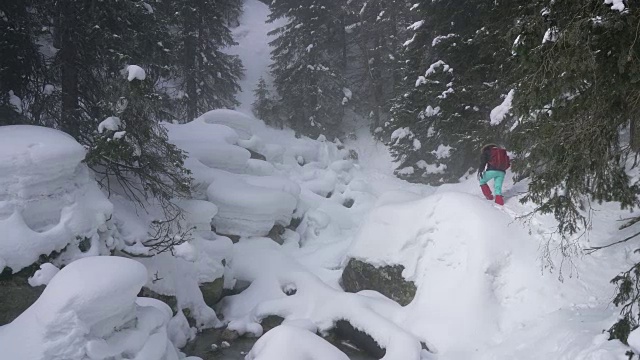 冬天在寒冷多雾的天气里徒步旅行，在被雪覆盖的岩石森林景观中视频素材