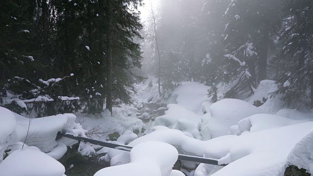 冬天在寒冷多雾的天气里徒步旅行，在被雪覆盖的岩石森林景观中视频素材