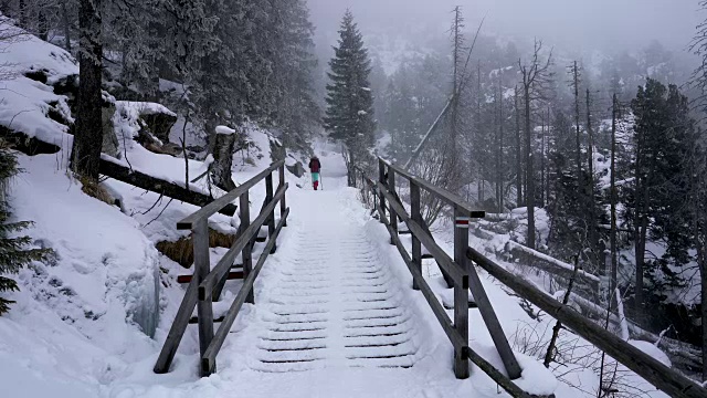 冬天在寒冷多雾的天气里徒步旅行，在被雪覆盖的岩石森林景观中视频素材