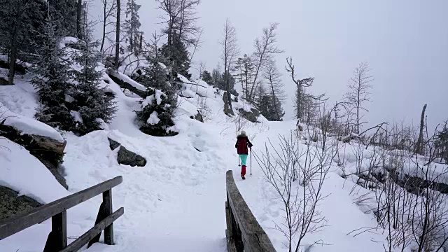 冬天在寒冷多雾的天气里徒步旅行，在被雪覆盖的岩石森林景观中视频素材