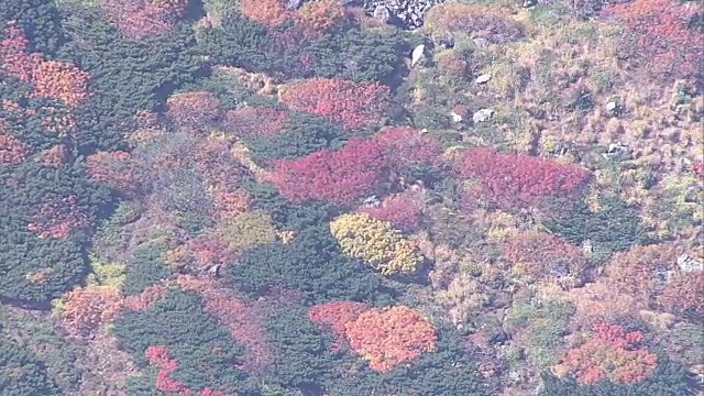 秋色御岳山，日本视频素材