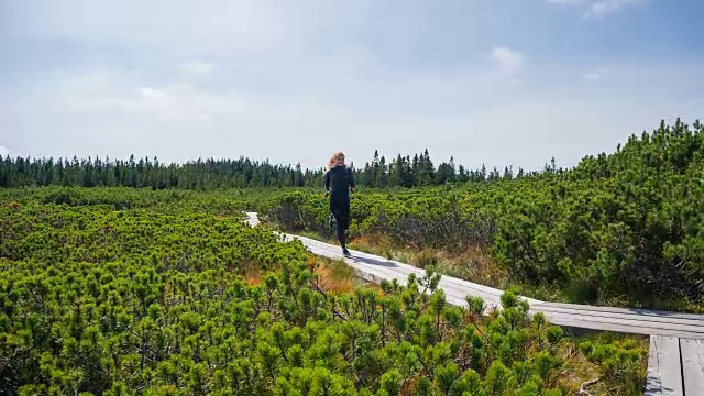 在一个阳光明媚的日子里，年轻的女运动员在松树丛中的一条木制小路上跑步视频素材