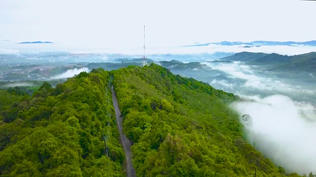 森林中电信天线的鸟瞰图视频素材