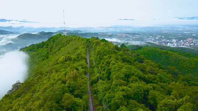 森林中电信天线的鸟瞰图视频素材