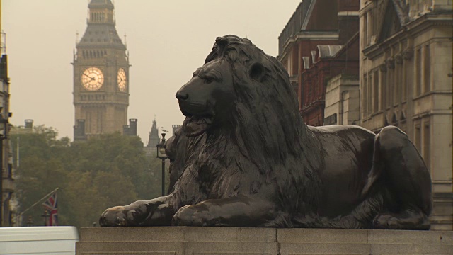 英国伦敦，威斯敏斯特，特拉法加广场上的青铜狮子与大本钟相映衬。视频素材