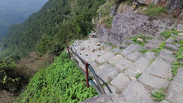 驮着行李上山的骡子视频素材