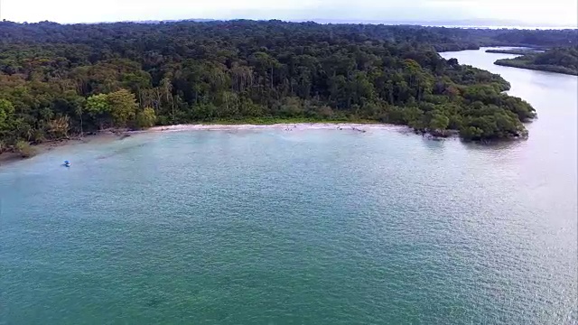 田园诗般的加勒比白色处女海滩，水上有棕榈树视频素材