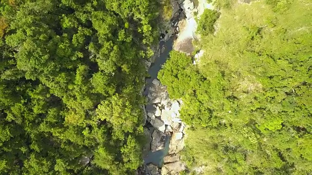 山区河流景观热带森林空中景观。无人机观看岩石河与绿色森林在山区森林视频素材