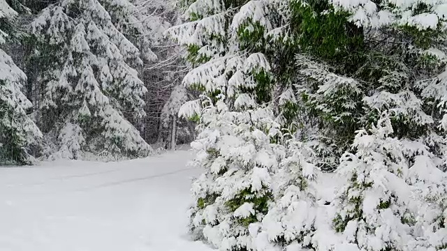 这个城市在冬季正下着雪视频素材