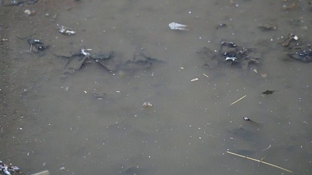 雨中的水坑。近距离视频素材