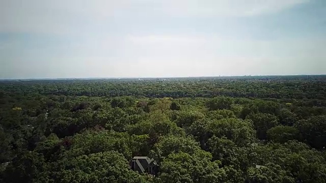 一架无人机飞过明尼苏达州明尼阿波利斯市浓密的绿色树梢视频素材