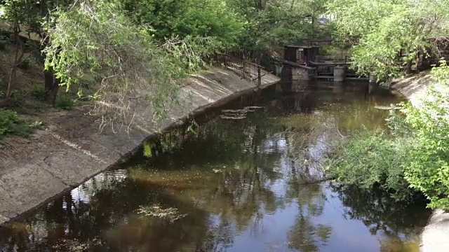 高草和小路视频素材