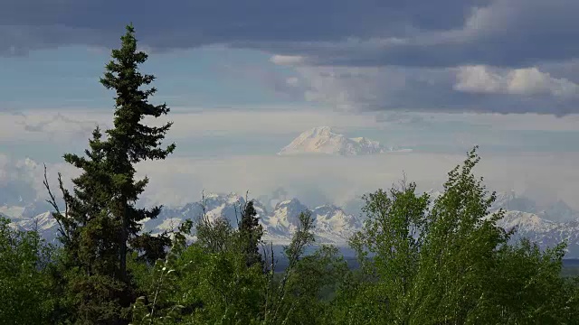 阿拉斯加德纳里山被树木包围着视频素材