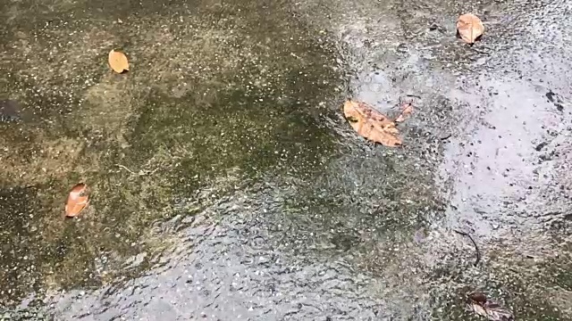 近距离的雨落在水泥地上。视频素材