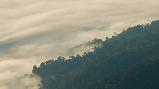 神秘的雾在山上的森林上空移动，时间流逝视频素材