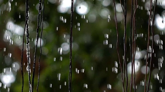 雨在花园里落下的慢动作视频素材