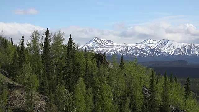 阿拉斯加德纳里公园山泉美景视频素材