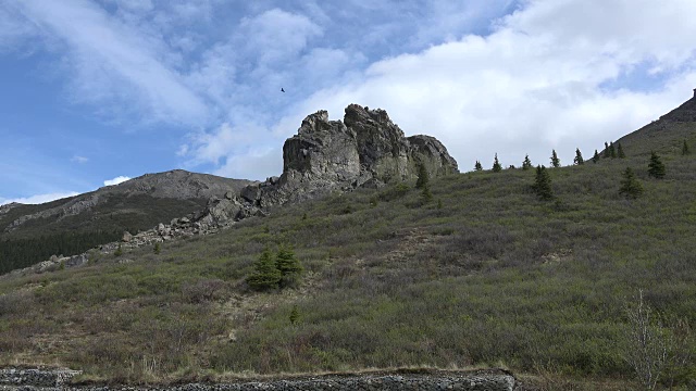 阿拉斯加山云和鸟视频素材